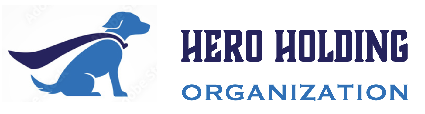 Hero Holding Organization - sito in arrivo